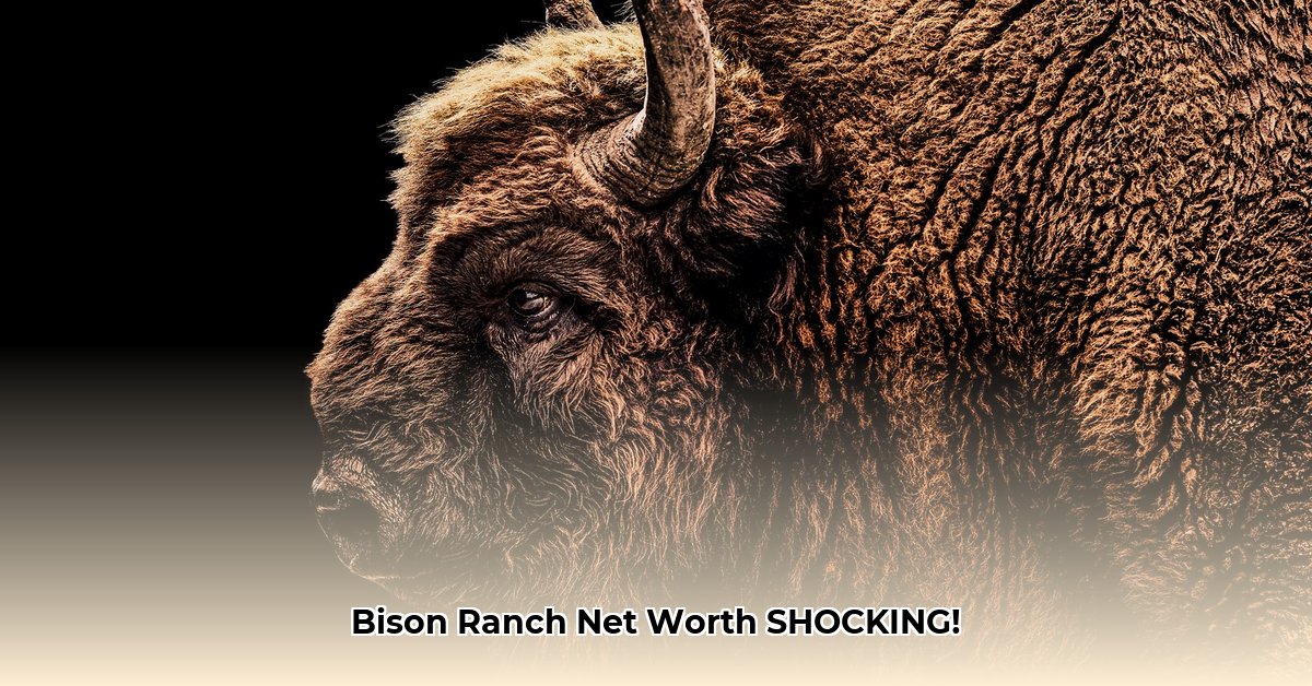 cross-timbers-bison-net-worth